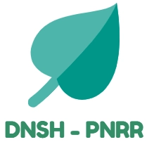 DNSH - PNRR - Servizi per la Pubblica Amministrazione